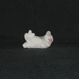 Slapende kat