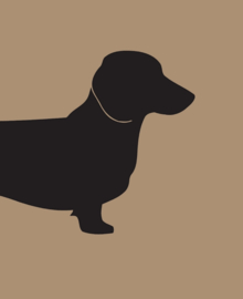 tuinposter teckel kaki