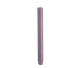 Lavendel