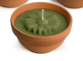 Flower bowl - buitenkaars