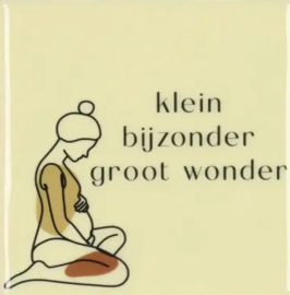 klein bijzonder groot wonder
