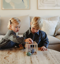 MUSHIE ELASTIC SHAPE SORTER