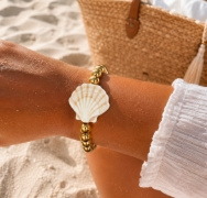 shell