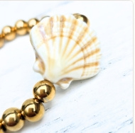 shell