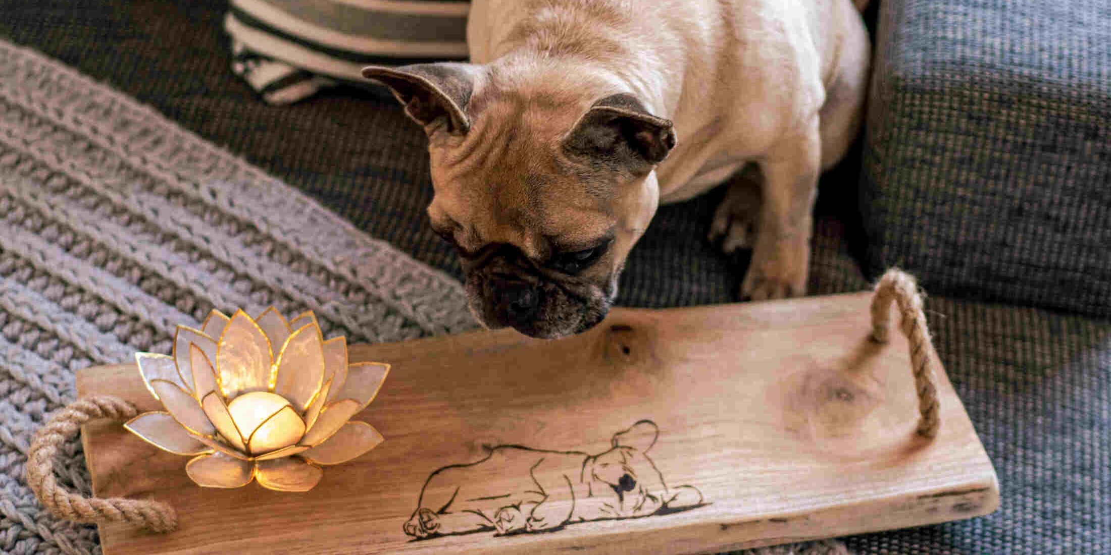 Plank Franse Bulldog groot