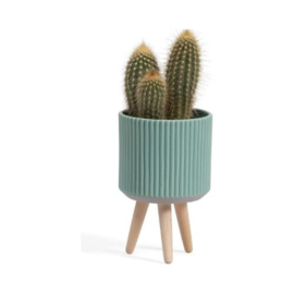 Aresse - kleine bloempot - 2 stuks - bloempot - groen
