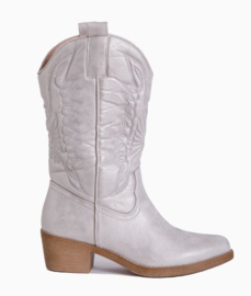 ZoeZo Design - halve laarzen - kuit laarzen - cowboylaarzen - zilver - met rits - hakhoogte 3 cm