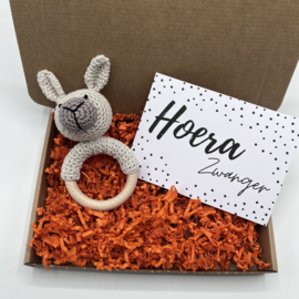 Cadeaupakketje - Zwangerschap - Alpaca