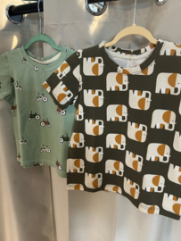 Shirt korte mouw - boys