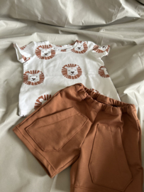 Cadeausetje - Leeuw