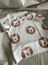 Cadeausetje - Leeuw