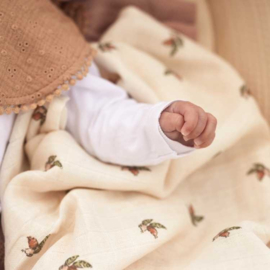 Baby Cadeaubox Meisje | Lekker Hapje