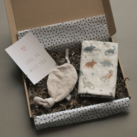 Brievenbus Cadeau Zwanger | Roarsome