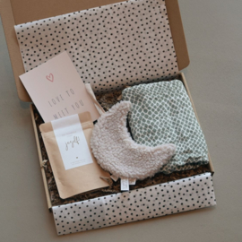 Brievenbus Cadeau Zwanger | Lief