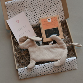 Brievenbus Cadeau Geboorte | Baby