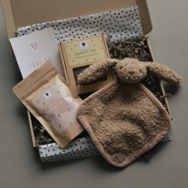 Brievenbus Cadeau Zwanger | Mama