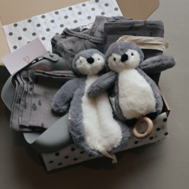 Babyshower Cadeau Pakket | Groot