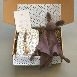 Baby Cadeaubox | Moon