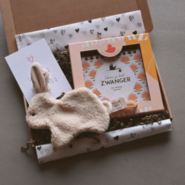 Brievenbus Cadeau | Hoera, je bent Zwanger