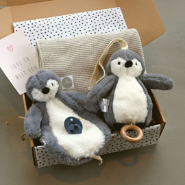 Baby Cadeaubox | Slapen Groot