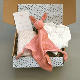 Baby Cadeaubox | Kroelen