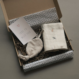Brievenbus Cadeau | Hoera Zwanger