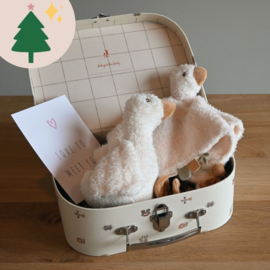 Kerst Kraamcadeau | Little Goose