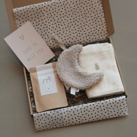Brievenbus Cadeau Zwanger | Moon