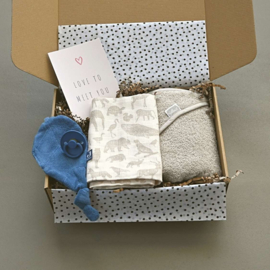 Baby Cadeaubox Jongen | Vrolijk Mini