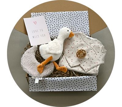 Baby Cadeaubox Meisje Moon