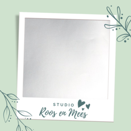 Naamsticker zilver