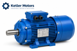 Elektromotor met rem 0,55 kW – 4-polig – 1400 t/min – PAM 71 B3