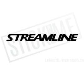 Scania Streamline 04