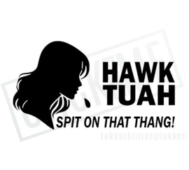 Hawk Tuah 02