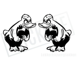 Ducks