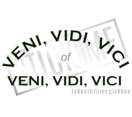 Veni Vidi Vici