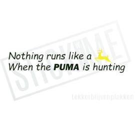 When the Puma is hunting