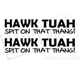 Hawk Tuah