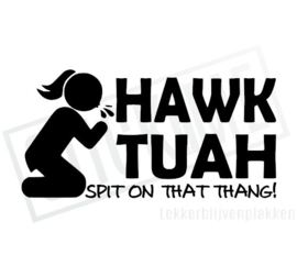 Hawk Tuah 01