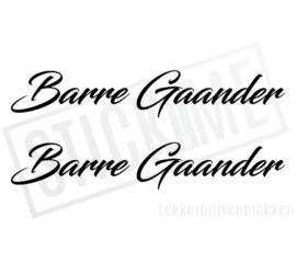 Barre Gaander NR1