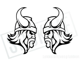 Vikingen NR9