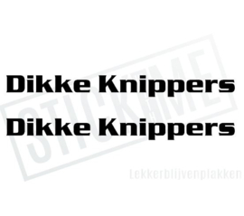 Dikke Knippers