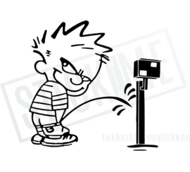 Calvin Flitspaal