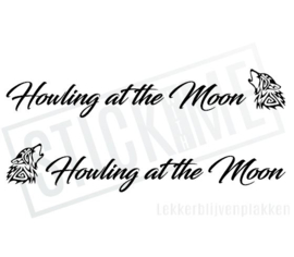 Howling at the Moon