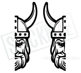 Vikingen NR5