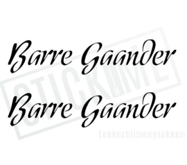 Barre Gaander NR3