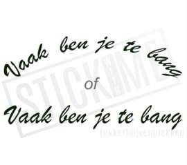 Vaak ben je te bang