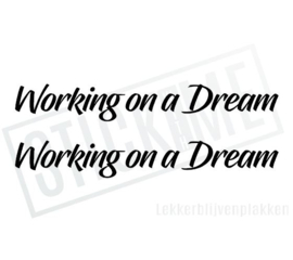 Working on a Dream