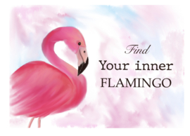 Ansichtkaart || flamingo