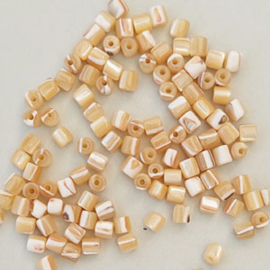 Schelp kralen tube 4x3.5mm beige (3 gram)